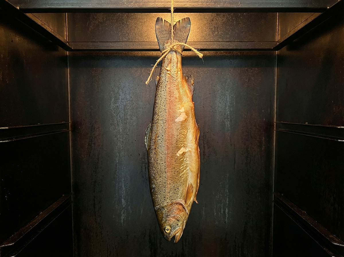 Купить порционную форель MY FISH (МАЙ ФИШ) для горячего копчения. Как получить сочную и плотную рыбу.